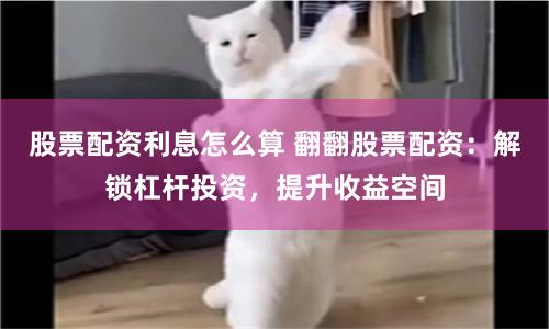 牛金所配资平台